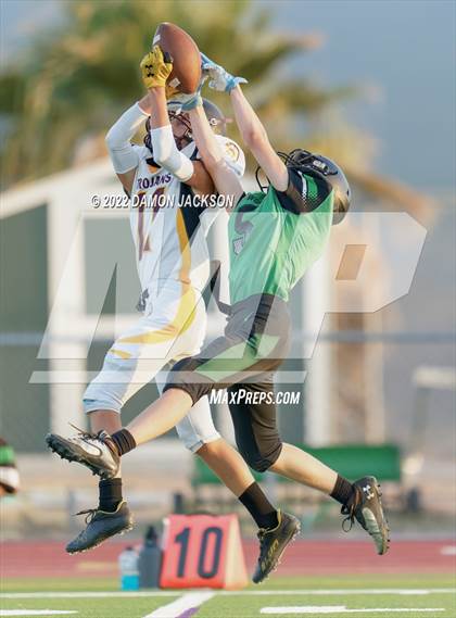 Thumbnail 1 in JV: Pahrump @ Virgin Valley photogallery.