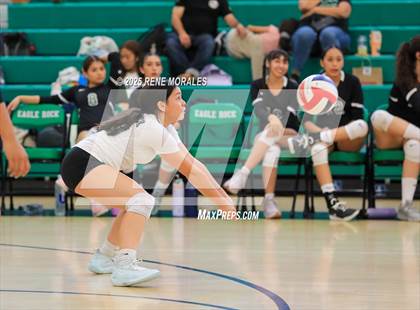 Thumbnail 2 in Sylmar vs Eagle Rock photogallery.
