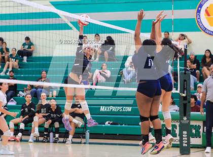 Thumbnail 1 in Sylmar vs Eagle Rock photogallery.