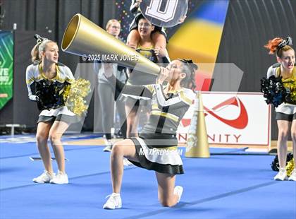 Thumbnail 2 in Douglas - Cheer Game Day Championships (AIA Division III, IV) photogallery.
