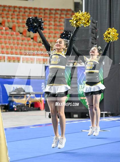 Thumbnail 3 in Douglas - Cheer Game Day Championships (AIA Division III, IV) photogallery.