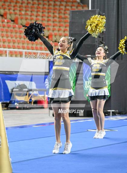 Thumbnail 2 in Douglas - Cheer Game Day Championships (AIA Division III, IV) photogallery.