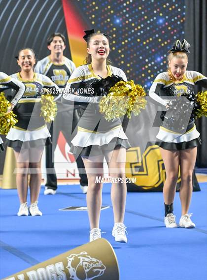 Thumbnail 2 in Douglas - Cheer Game Day Championships (AIA Division III, IV) photogallery.