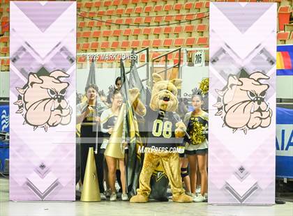 Thumbnail 1 in Douglas - Cheer Game Day Championships (AIA Division III, IV) photogallery.