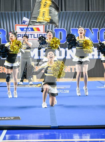 Thumbnail 3 in Douglas - Cheer Game Day Championships (AIA Division III, IV) photogallery.