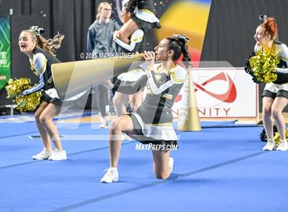 Thumbnail 3 in Douglas - Cheer Game Day Championships (AIA Division III, IV) photogallery.