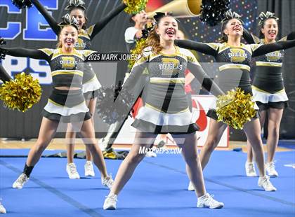 Thumbnail 3 in Douglas - Cheer Game Day Championships (AIA Division III, IV) photogallery.