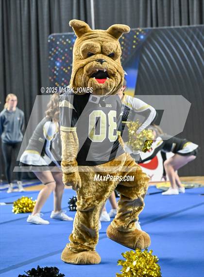 Thumbnail 1 in Douglas - Cheer Game Day Championships (AIA Division III, IV) photogallery.