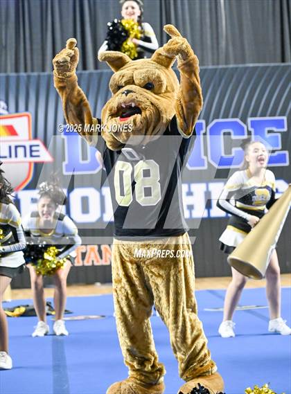 Thumbnail 2 in Douglas - Cheer Game Day Championships (AIA Division III, IV) photogallery.