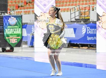 Thumbnail 3 in Douglas - Cheer Game Day Championships (AIA Division III, IV) photogallery.