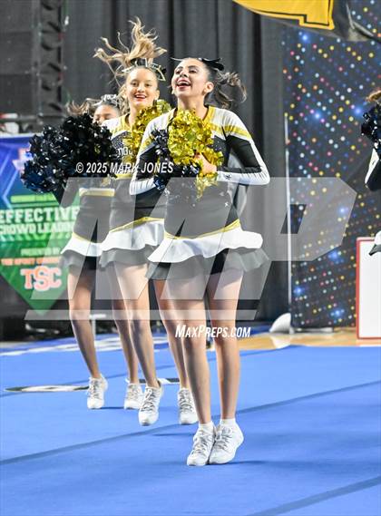Thumbnail 2 in Douglas - Cheer Game Day Championships (AIA Division III, IV) photogallery.