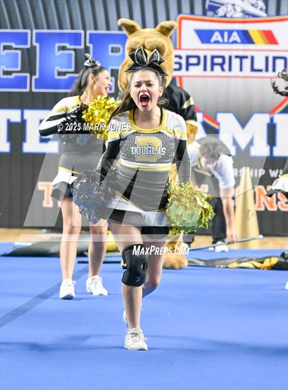 Thumbnail 2 in Douglas - Cheer Game Day Championships (AIA Division III, IV) photogallery.