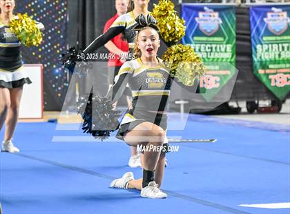 Thumbnail 1 in Douglas - Cheer Game Day Championships (AIA Division III, IV) photogallery.