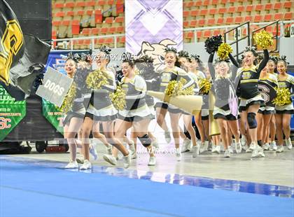 Thumbnail 2 in Douglas - Cheer Game Day Championships (AIA Division III, IV) photogallery.
