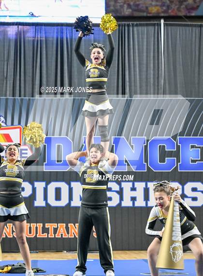 Thumbnail 3 in Douglas - Cheer Game Day Championships (AIA Division III, IV) photogallery.