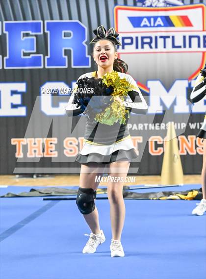 Thumbnail 1 in Douglas - Cheer Game Day Championships (AIA Division III, IV) photogallery.