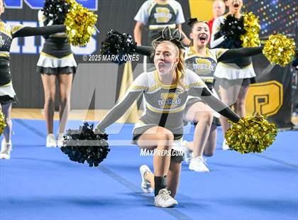 Thumbnail 2 in Douglas - Cheer Game Day Championships (AIA Division III, IV) photogallery.