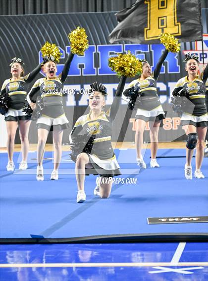 Thumbnail 2 in Douglas - Cheer Game Day Championships (AIA Division III, IV) photogallery.