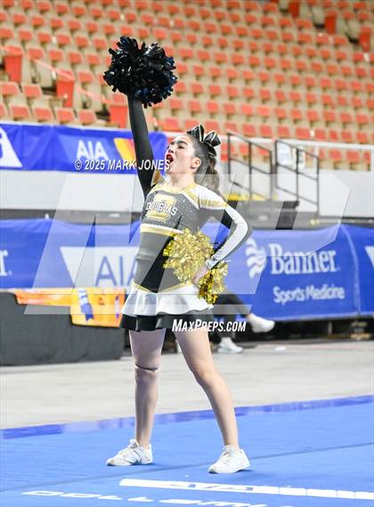 Thumbnail 1 in Douglas - Cheer Game Day Championships (AIA Division III, IV) photogallery.