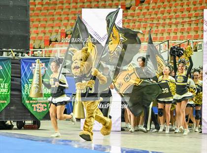 Thumbnail 3 in Douglas - Cheer Game Day Championships (AIA Division III, IV) photogallery.