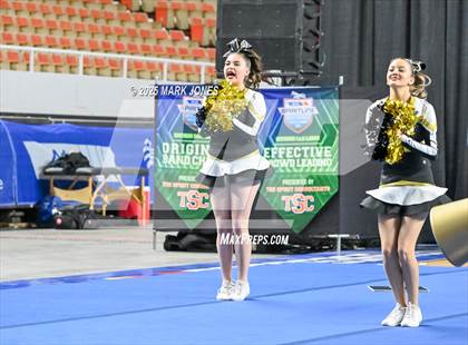 Thumbnail 3 in Douglas - Cheer Game Day Championships (AIA Division III, IV) photogallery.