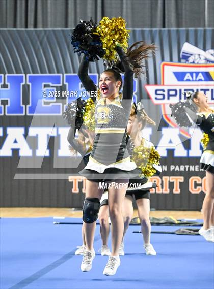 Thumbnail 1 in Douglas - Cheer Game Day Championships (AIA Division III, IV) photogallery.
