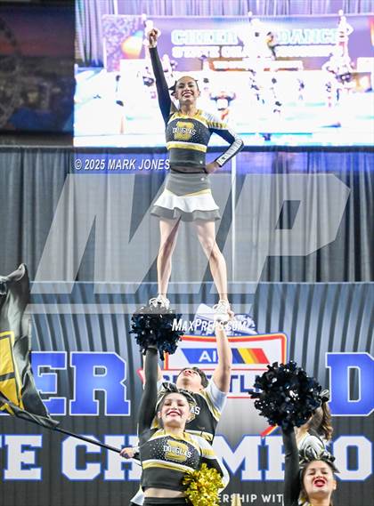 Thumbnail 1 in Douglas - Cheer Game Day Championships (AIA Division III, IV) photogallery.
