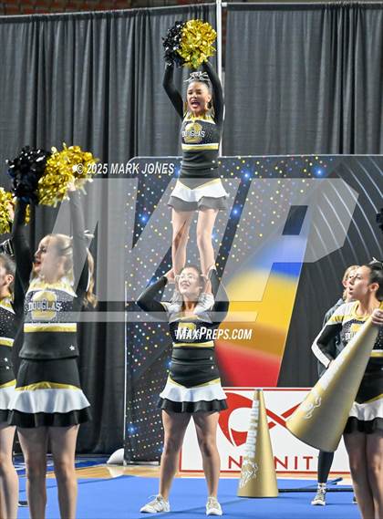 Thumbnail 2 in Douglas - Cheer Game Day Championships (AIA Division III, IV) photogallery.