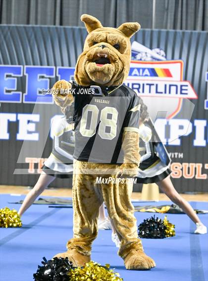 Thumbnail 1 in Douglas - Cheer Game Day Championships (AIA Division III, IV) photogallery.