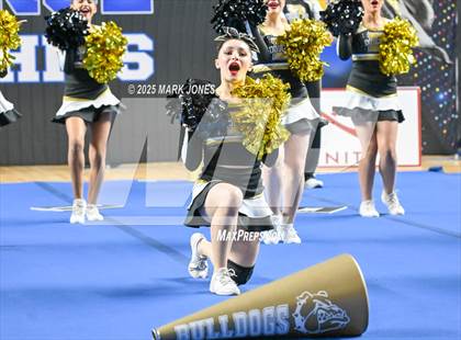 Thumbnail 2 in Douglas - Cheer Game Day Championships (AIA Division III, IV) photogallery.