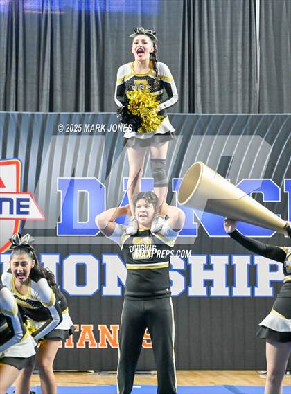 Thumbnail 2 in Douglas - Cheer Game Day Championships (AIA Division III, IV) photogallery.