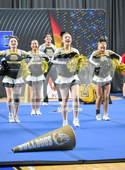 Thumbnail 3 in Douglas - Cheer Game Day Championships (AIA Division III, IV) photogallery.
