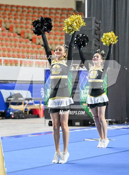 Thumbnail 1 in Douglas - Cheer Game Day Championships (AIA Division III, IV) photogallery.