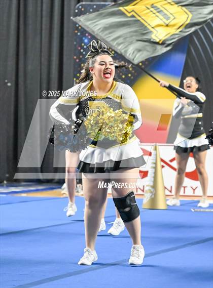 Thumbnail 1 in Douglas - Cheer Game Day Championships (AIA Division III, IV) photogallery.