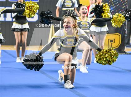 Thumbnail 1 in Douglas - Cheer Game Day Championships (AIA Division III, IV) photogallery.