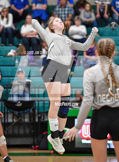 Thumbnail 3 in Neches vs McMullen County (UIL 1A Region 4 Semifinal Playoff) photogallery.