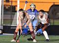 Photo from the gallery "Pittsford @ Brighton"