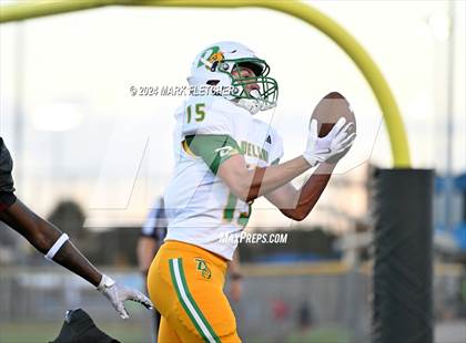 Thumbnail 1 in DeLand @ New Smyrna Beach photogallery.