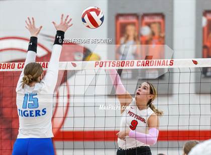 Thumbnail 3 in Gunter @ Pottsboro photogallery.