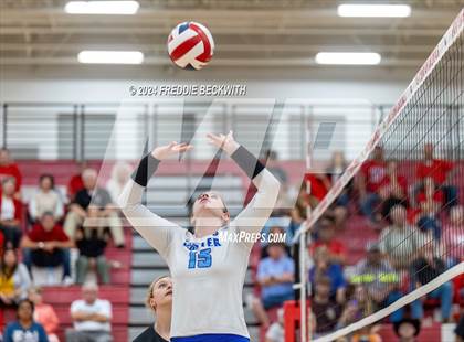 Thumbnail 1 in Gunter @ Pottsboro photogallery.