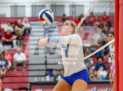 Thumbnail 1 in Gunter @ Pottsboro photogallery.