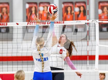 Thumbnail 2 in Gunter @ Pottsboro photogallery.