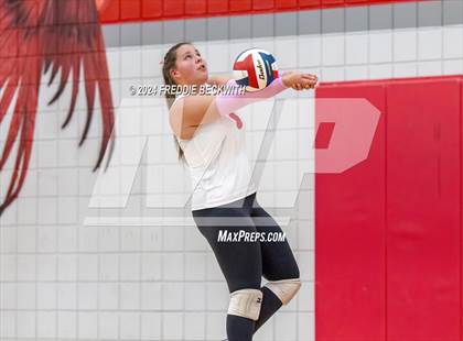 Thumbnail 1 in Gunter @ Pottsboro photogallery.
