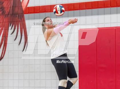 Thumbnail 2 in Gunter @ Pottsboro photogallery.