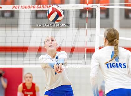 Thumbnail 1 in Gunter @ Pottsboro photogallery.