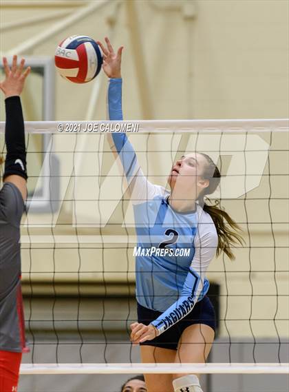 Thumbnail 1 in Lee vs Johnson photogallery.