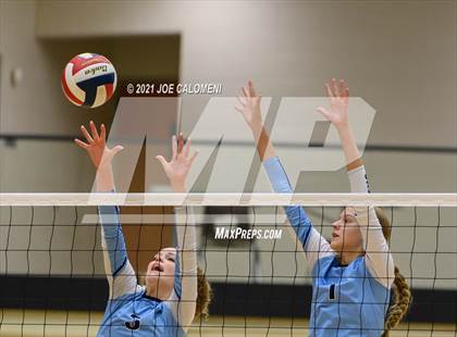 Thumbnail 1 in Lee vs Johnson photogallery.