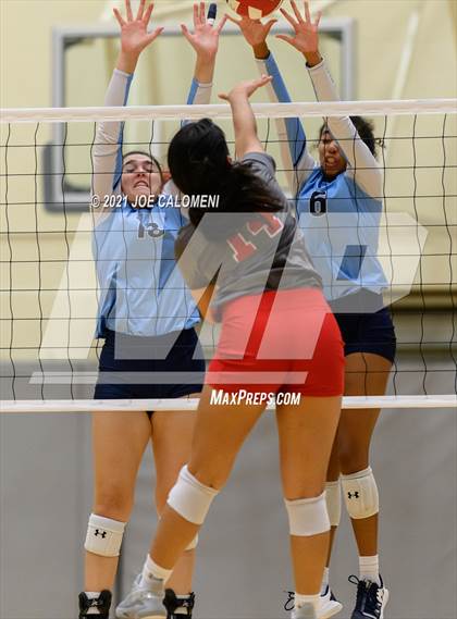 Thumbnail 2 in Lee vs Johnson photogallery.