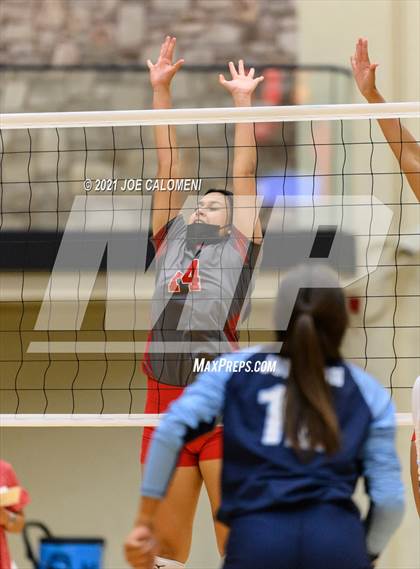 Thumbnail 2 in Lee vs Johnson photogallery.