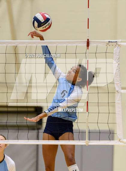 Thumbnail 2 in Lee vs Johnson photogallery.